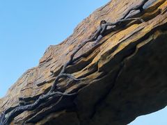 -黄陂区野村谷景区