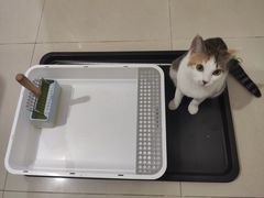 -桔子酒店(深圳清湖地铁站店)