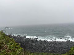 -涉地可支
