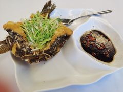 -山泉公馆酒家(珠江新城店)