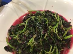 鸡毛菜-大金山酒店