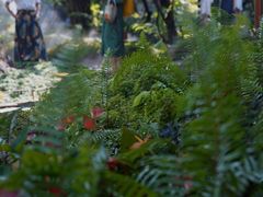 -Chom Cafe and Restaurant