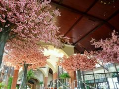 -厦门帝元维多利亚大酒店(环岛路黄厝海滩店)