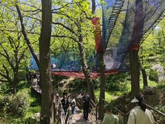 -沂蒙山旅游区云蒙景区(蒙山国家森林公园)