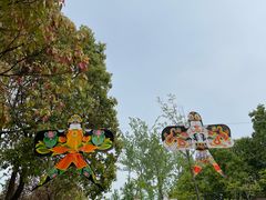 -合肥野生动物园