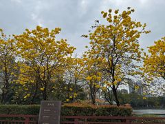 -荔湾湖公园