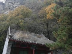 -北京鹫峰国家森林公园