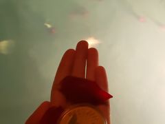 -和顺柏联温泉