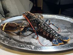 -皇朝会.经典传统粤菜(外滩店)