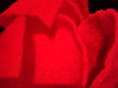 -MOSSO·Liveshow(M3香港广场店)
