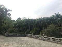 -滴水岩森林公园