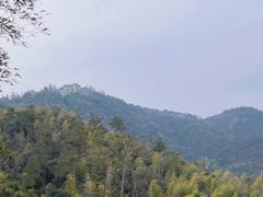 -莫干山风景区
