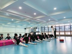 -西安小天鹅艺术团(曲江Alice店)