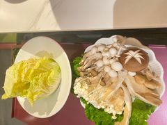 -九鼎轩脆毛肚火锅(三钢里店)