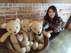 -济州岛泰迪熊博物馆