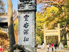 -灵谷景区