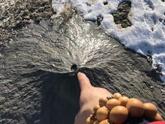 -渔公馆·川菜馆·家宴·生日宴(大地中央广场店)