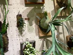-老爷锅(新街口IFCX店)