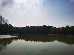 -上海海湾国家森林公园