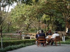 -望江楼公园