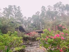 -深圳国际园林花卉博览园