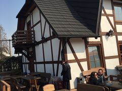 -金山农民画村-枫泾波兰倒置屋