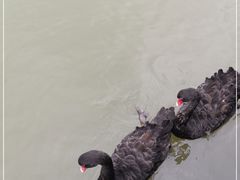 -长兴太湖图影湿地文化园