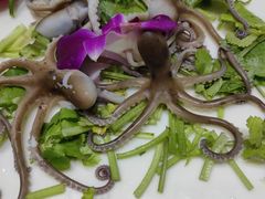 -星龙海鲜(望江东路店)