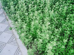 -茂陵博物馆