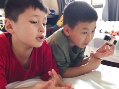 -观旗宾馆(北京天安门广场店)