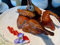 -鹊玥·粤菜小馆(汇智国际商业中心店)