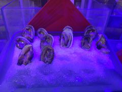 -小天鹅戴斯酒店鲸鲨百汇创作料理