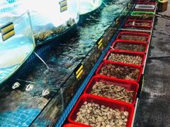 -望海潮海鲜店 特色家常菜(在海一方店)