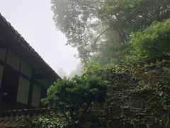 -张醪糟