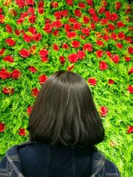 -HD HAIR STYLE