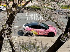 -南浦大桥长途旅游客运站