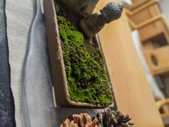 -云座·时光·观景咖啡厅(五爷庙店)