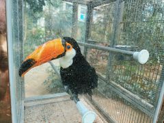 -南宫五洲植物乐园