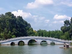 -金山植物公园