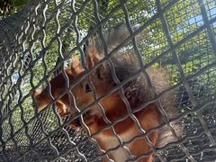 -桑干河大峡谷旅游区