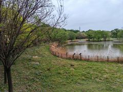 -北京麋鹿生态实验中心