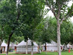 -九十九顶毡房(阜石路店)