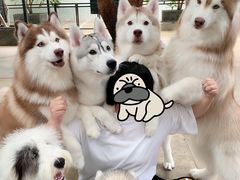 -TrueLove @ Neverland (Husky Cafe)