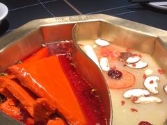 -蜀九香火锅(彩虹店)