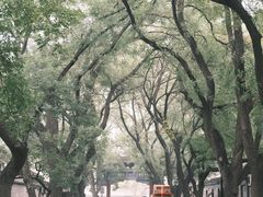 -北京国子监胡同