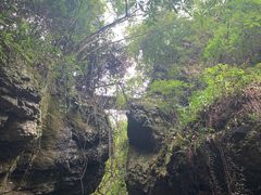 -夏霖九天银瀑风景区