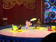 -珠海横琴长隆《卡卡虎奇遇记》