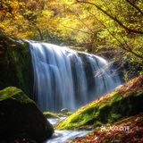 西安周边丨自驾秦岭红叶秘境,畅玩多彩之秋