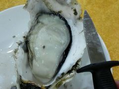 桑拿蚝-蚝专家(北滘店)