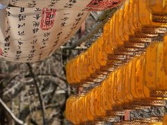 -石台牯牛降景区
